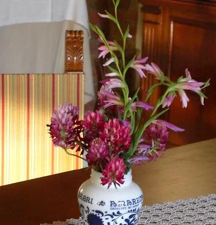 Bed and breakfast Casa Bolsinina 2*