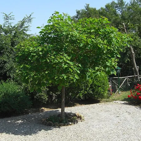Casa Bolsinina Monteroni dʼArbia